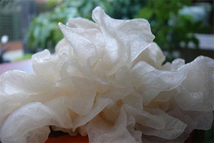 ?蚵仔湯抗痘、泡菜拌飯助睡眠 10款排毒抗發(fā)炎菜單
