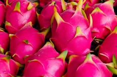 孕婦可以吃火龍果嗎.png 孕婦可以吃火龍果嗎.png