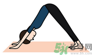 防變胖可以做什么瑜伽 吃太多防變胖的瑜伽 防變胖可以做什么瑜伽 吃太多防變胖的瑜伽