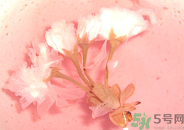 女人喝櫻花茶真的會(huì)有體香嗎?.png 女人喝櫻花茶真的會(huì)有體香嗎?.png