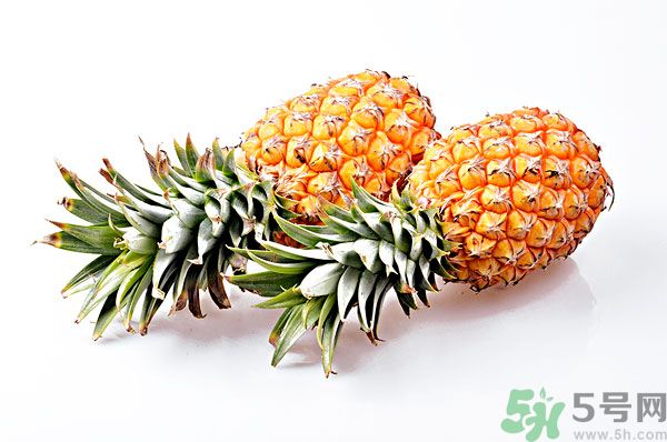 芒果和菠蘿能一起吃嗎？芒果和菠蘿一起吃好嗎？