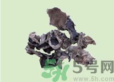 高血壓可以吃黑木耳嗎？木耳降血壓的做法有哪些？