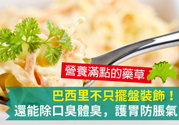 吃芹菜可以去口臭嗎？口臭可以吃芹菜嗎？