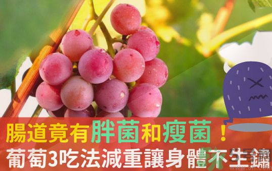 吃葡萄可以不吐葡萄籽嗎？吃葡萄皮好不好？