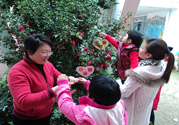 植樹節(jié)是幾月幾日？植樹節(jié)可以做些什么活動(dòng)？