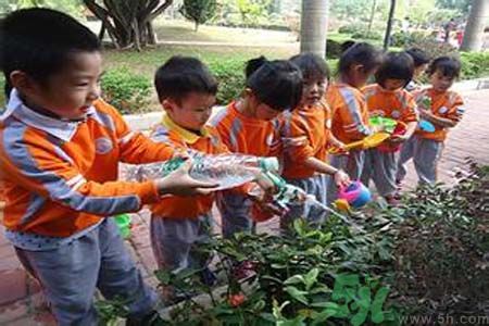 如何提高植樹的成活率？植樹節(jié)種樹要注意哪些細(xì)節(jié)？