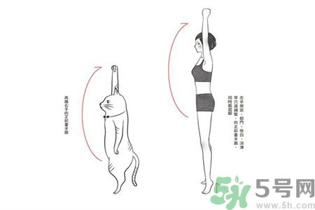電腦族肩膀痛疼怎么辦？肩膀痛疼怎么解決？