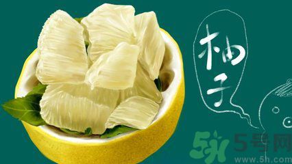 多吃柚子能減肥嗎？怎樣吃柚子才健康？