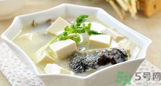吃魚(yú)真的能變聰明嗎？喝魚(yú)湯有什么好處？