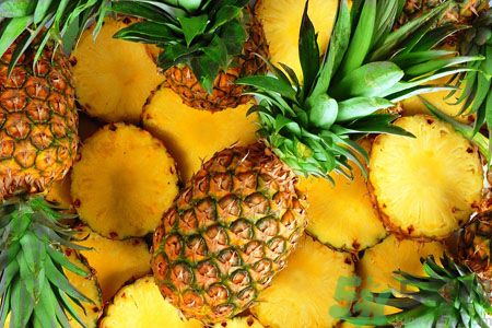 菠蘿和鳳梨有什么區(qū)別？菠蘿和鳳梨誰更好吃？