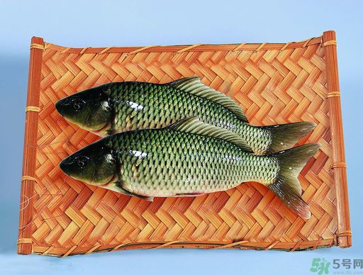 孕婦吃什么魚對胎兒好？孕婦吃什么魚最好？