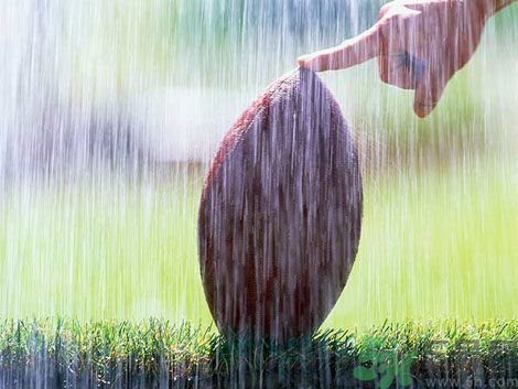 濕氣重的癥狀？怎么去除體內(nèi)的濕氣？
