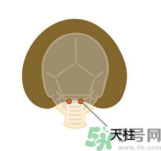 臉總是腫腫的怎么辦？臉有點浮腫怎么消腫？