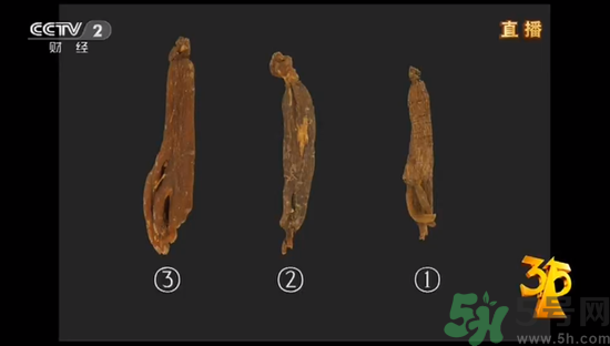 紅參怎么挑選？紅參摻糖怎么辯解？