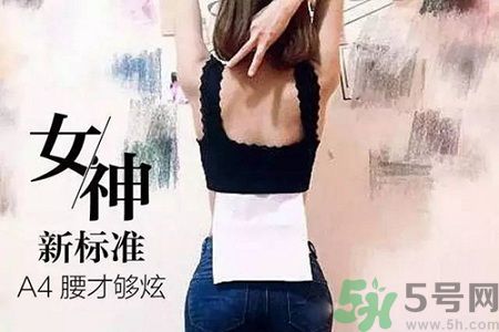 B5腰圍比A4腰圍更好？B5腰是什么意思？
