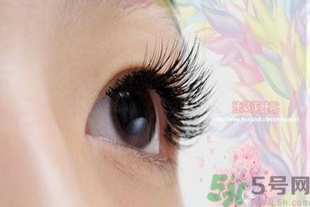 種睫毛的危害有哪些？種睫毛能保持多久？