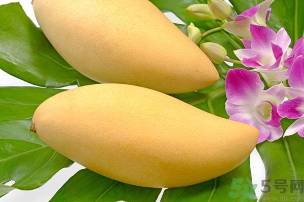 吃芒果嘴唇過敏怎么辦？為什么吃了芒果后嘴巴癢？