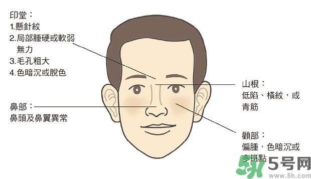 耳垂上有豎紋是怎么回事？山根有橫紋是什么?。?></p><h3>唇舌</h3><p>我們吃進(jìn)食物的營養(yǎng)物質(zhì)透過脾胃消化吸收後，一部分成為制造血液的來源，轉(zhuǎn)換成血液後，再由心的系統(tǒng)輸送到全身。而中醫(yī)認(rèn)為「心開竅於舌」、「脾開竅於唇」，脾胃的消化吸收能力好不好，看嘴唇的顏色及形狀就知道，如果脾胃功能不佳，營養(yǎng)不良，那當(dāng)然也會(huì)影響到一個(gè)人的心血管系統(tǒng)；而舌頭更是觀察心臟功能的顯性部位，除了靜態(tài)的觀察舌頭的形狀和顏色之外，動(dòng)態(tài)的言語功能，有時(shí)也直接反映了心的狀態(tài)，例如常見的中風(fēng)先兆，即會(huì)有言語遲鈍或出現(xiàn)表達(dá)障礙等。</p><p>● 唇形：（建議拿以前的照片對(duì)照最清楚）最常見到的變化是上唇變得比較薄而扁，與病人的整體唇形和面形不成比例，缺少立體感，甚至還出現(xiàn)緊繃、微微向牙齦內(nèi)收的感覺，乍看像是抿嘴，其實(shí)不是。讀者可能會(huì)問：「那是因?yàn)樗緛淼淖齑奖容^薄才會(huì)變成這樣。我是厚唇，應(yīng)該不會(huì)吧！」其實(shí)不然。嘴唇變薄與原來唇形的厚薄無關(guān)，而是一種相對(duì)比例的改變，所以才要跟自己過去的照片和整體的唇形面形相比較。</p><p>●唇色：營養(yǎng)充足健康的人，唇色為鮮紅色，如果出現(xiàn)比較暗沉的顏色，或兼有瘀斑，都是瘀血的現(xiàn)象；如果唇色偏淡，就是血不足欠血。</p><p>● 舌頭：健康的舌色鮮紅，大小厚薄適中，跟人的體型成比例，體型壯碩的人舌頭較大，體型瘦弱的人舌頭較小。實(shí)證的舌頭厚厚腫腫，顏色暗紅，舌面或舌邊出現(xiàn)暗斑，中醫(yī)稱為「瘀斑」；卷起舌頭，舌下的靜脈色暗，腫起甚至彎曲，中醫(yī)稱為「絡(luò)脈怒張」，這都是氣血瘀滯的現(xiàn)象。虛證的舌頭形狀改變不大，但顏色偏淡。</p> </div>
<div align=
