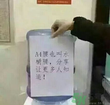 a4腰也叫水桶腰是什么意思？a4腰也叫水桶腰圖片？ 