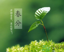 春分時養(yǎng)生要注意什么？春分要預防哪些疾??？