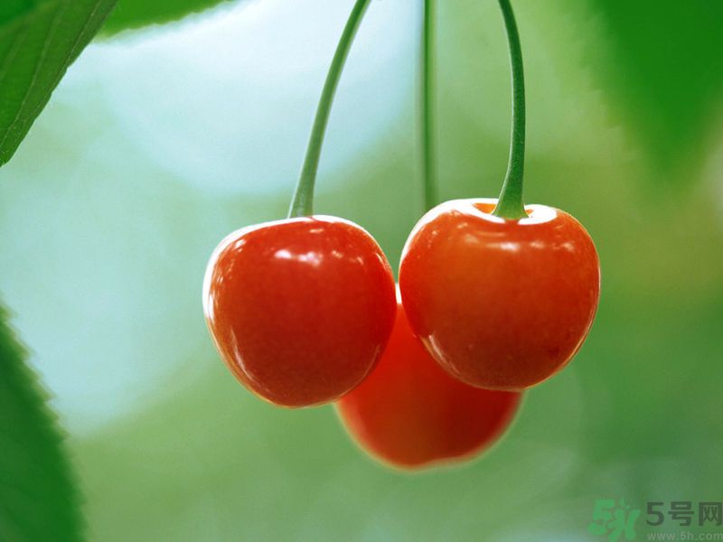 春分時節(jié)養(yǎng)生吃什么水果好？那些水果可以春天吃？