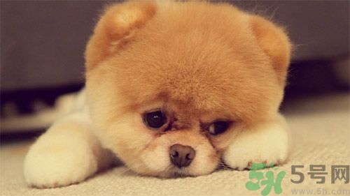 睡覺(jué)能戴手表嗎？睡覺(jué)不能帶的東西有哪些？