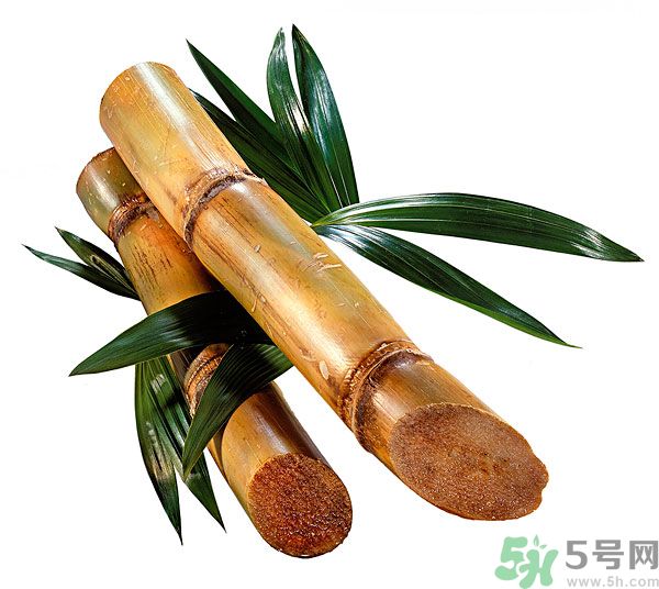 清明節(jié)能吃甘蔗嗎？清明節(jié)吃甘蔗會(huì)中毒嗎？