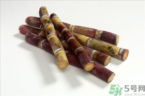 清明節(jié)能吃甘蔗嗎？清明節(jié)吃甘蔗會(huì)中毒嗎？