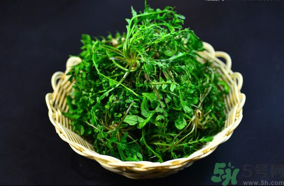 薺菜根能吃嗎？薺菜要去根吃嗎？