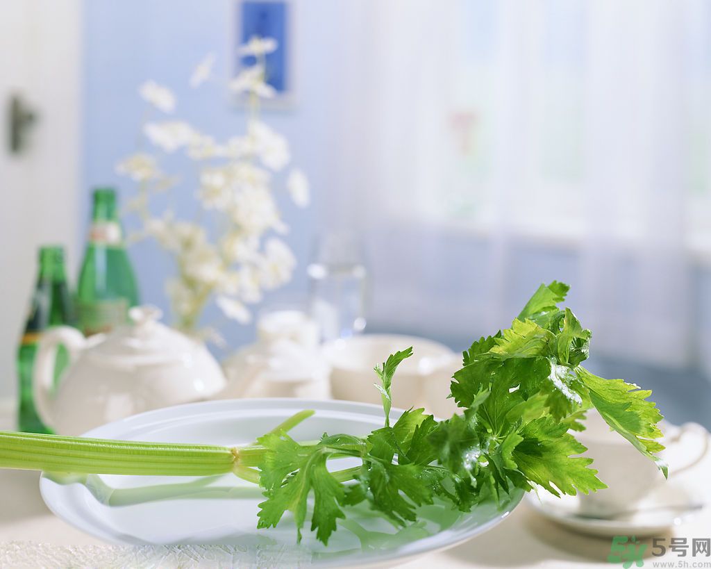 芹菜可以減肥嗎？芹菜有什么功效？
