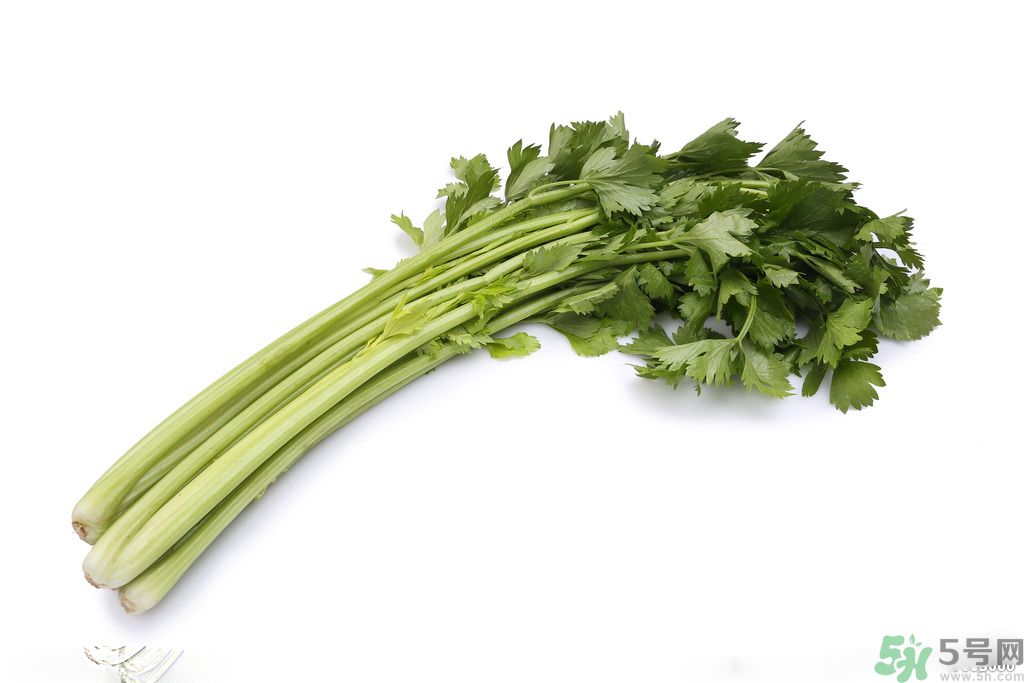 芹菜可以減肥嗎？芹菜有什么功效？