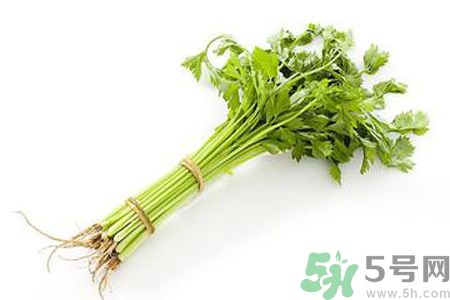 芹菜可以減肥嗎？芹菜有什么功效？