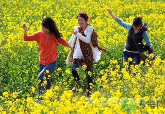清明節(jié)的習(xí)俗有哪些？清明節(jié)吃什么？