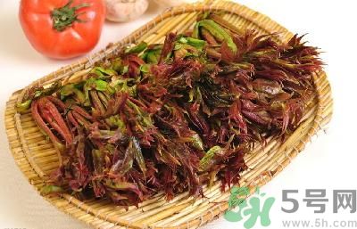 吃香椿有什么好處？香椿可以預防疾病嗎？