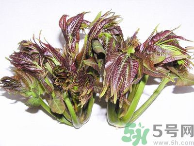 吃香椿有什么好處？香椿可以預防疾病嗎？