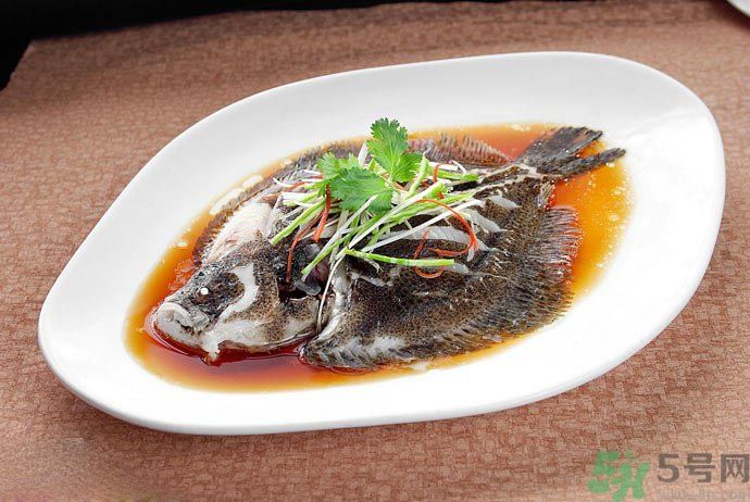 怎么挑選魚？挑魚的技巧有哪些？