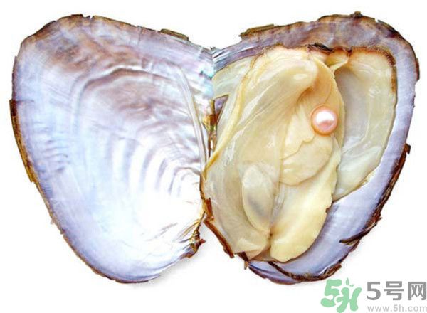河蚌什么時(shí)候吃最好？吃河蚌有什么好處？