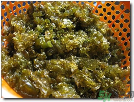 地皮菜怎么清洗干凈？怎樣洗地皮菜？