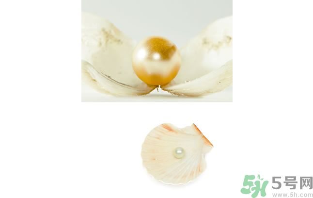 河蚌怎么炒才不會老？炒河蚌要注意什么？