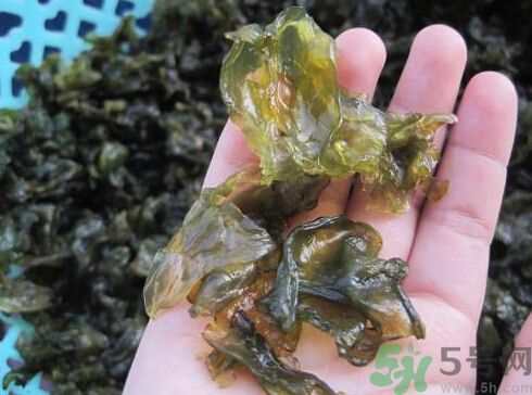 地皮菜孕婦能吃嗎？地皮菜孕婦吃好嗎？