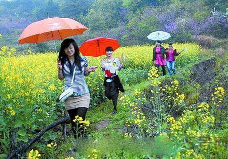 清明節(jié)為什么要踏青？清明節(jié)踏青有什么好處？