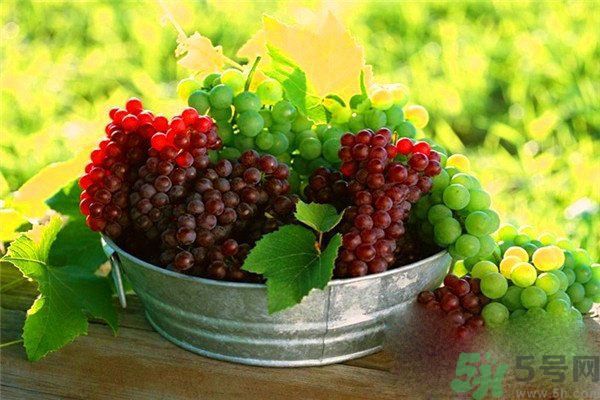 高血脂吃什么水果好？什么水果可以降血脂？