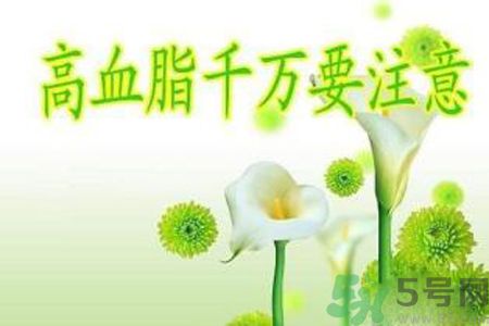 高血脂會頭暈嗎？高血脂會引起高血壓嗎？