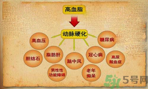 高血脂會頭暈嗎？高血脂會引起高血壓嗎？