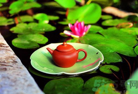 降血脂的茶有哪些？什么茶可以降血脂？