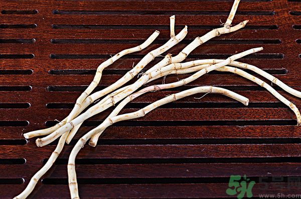 魚腥草能泡水喝嗎？魚腥草泡水喝有什么功效？