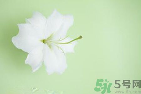 春季咳嗽怎么辦？春季咳嗽吃什么好？