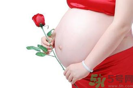 孕婦可以吃枸杞嗎？孕婦吃枸杞好嗎？