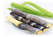 清明節(jié)可以吃甘蔗嗎？清明節(jié)不能吃哪些食物？