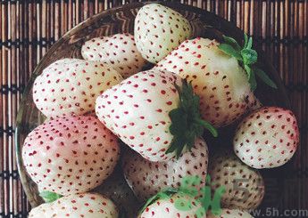 菠蘿莓好吃嗎？菠蘿莓好不好吃？